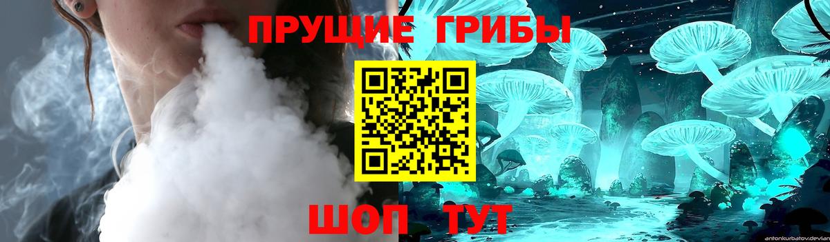 Псилоцибиновые грибы Psilocybe  Вход с VPN  Сертолово 